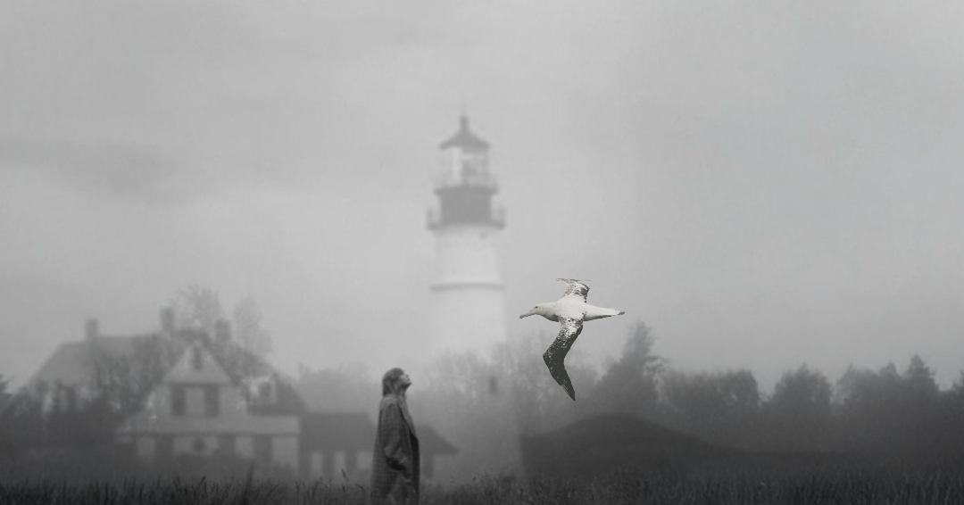 Alas de exilio: Meditaciones sobre “The Albatross” de Taylor Swift